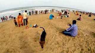 Besant Nagar Beach 4KChennai Madras  Walking Tour  Travel Logs [upl. by Aldred]