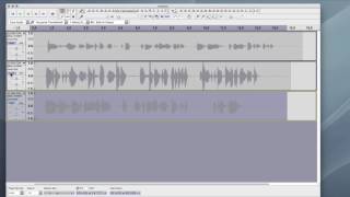 Setting Audio Recording Levels  Audacity [upl. by Helbonia]