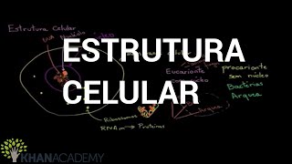 Estrutura Celular  Biologia  Khan Academy [upl. by Atlas996]