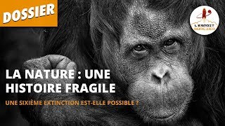 BIODIVERSITÉ  VERS UNE 6ÈME EXTINCTION   Dossier 15  LEsprit Sorcier [upl. by Aivatan]