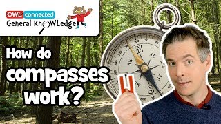 How does a compass work  General KnOWLedge [upl. by Donell714]