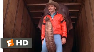 Smokey and the Bandit II 1980  Thats An Elephant Scene 110  Movieclips [upl. by Wahlstrom]