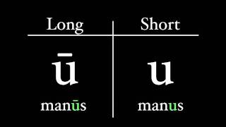 The Latin Alphabet  Vowel Pronunciation [upl. by Wernick655]