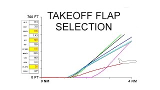 TAKEOFF FLAP SELECTION [upl. by Eecram760]