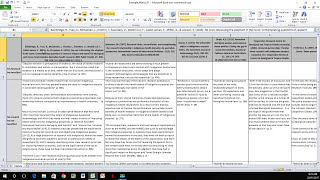 How to Create a Literature Matrix Excel [upl. by Nnaear]