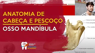 Osso Mandíbula  ANATOMIA DE CABEÇA E PESCOÇO [upl. by Sibley]