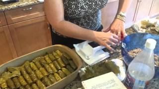 Using a Dolmades Machine  How to make Greek Dolmades or Dolmas [upl. by Wildee]