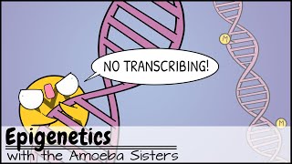 Epigenetics [upl. by Mcgraw]