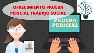 Ejemplo de Ofrecimiento Prueba Pericial Trabajo Social [upl. by Wyatan]