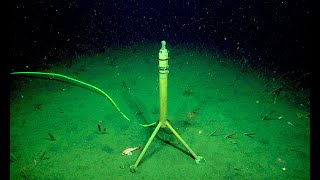 7 Eerie Sounds Recorded in the Deep Ocean [upl. by Dawna]