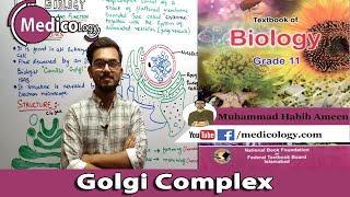 Golgi Complex  Structure and function  Federal Board Biology XI [upl. by Arly]