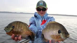 How To Catch GIANT Bluegills in Public Lakes [upl. by Goulden789]