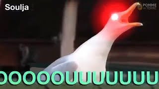 Inhaling Seagull Meme Compilation 2018 [upl. by Zaller]