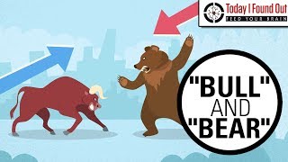 Why are Bull and Bear Markets Called That [upl. by Eednas]