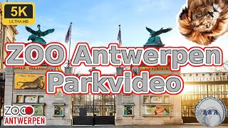 ZOO Antwerpen Parkvideo 5K [upl. by Vite]