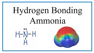 Hydrogen Bonding in Ammonia NH3 [upl. by Pete]