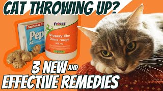 Cat Throwing Up 3 Fast Acting Home Remedies [upl. by Aratak]