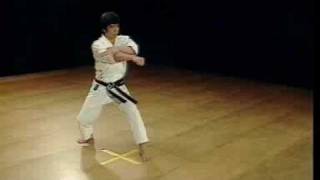 Shotokan Kata Nijushiho  Kanazawa Hirokazu [upl. by Rramed374]