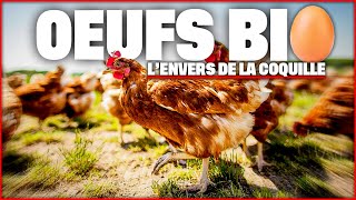 Derrière les oeufs bio [upl. by Eecyal]