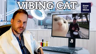 Why The quotVibing Catquot Meme Took Months To Reach Its Full Potential [upl. by Belda]