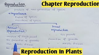 Reproduction in plants  Life Cycle Bryophyte And Gymnosperms  Class 12 Biology [upl. by Navek]