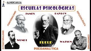 Escuelas Psicológicas Estructuralismo Funcionalismo  RESUMEN [upl. by Haswell]