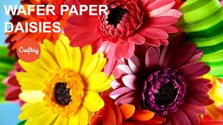 Make a Wafer Paper Daisy  Cake Decorating Tutorial with Kara Andretta [upl. by Anikas]