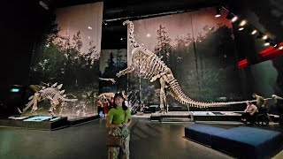 Naturalis Museum  Leiden [upl. by Halyahs]