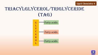 4 Triacylglycerol Triglycerides  Lipid Chemistry4  Biochemistry  NJOY Biochemistry [upl. by Beckerman]