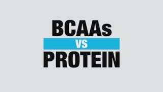 BCAA Supplement vs Protein Supplement  Know Your Supps  BPI Sports [upl. by Orms]