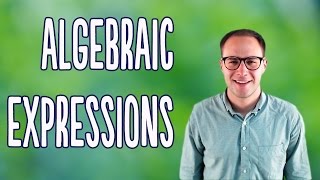 Algebraic Expressions Basics [upl. by Acimaj38]