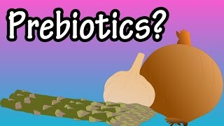 Best 3 Probiotics for Gut Health and IBS and HOW TO CHOOSE [upl. by Sregor126]