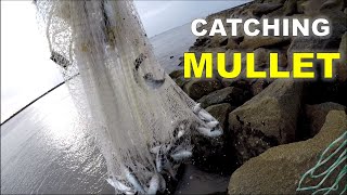 How to Catch Mullet Murrells Inlet SC [upl. by Marlie]