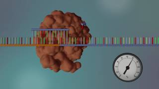 DNA Sequencing  3D [upl. by Azne150]