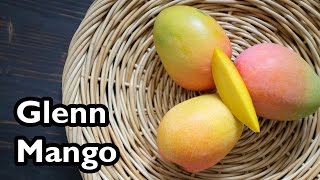 Truly Tropical Mango Varieties Glenn [upl. by Dray]