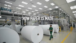 How Paper Is Made [upl. by Nevart2]