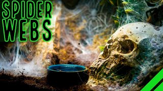 TOP 10 Heaviest Webbing Tarantulas BIG Spiders BIGGER Webs [upl. by Niletac]