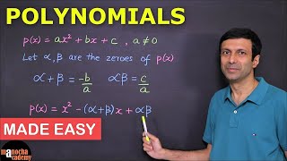 Polynomials Class 10 [upl. by Anilam]