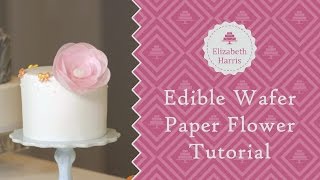 Edible Wafer Paper Flower Tutorial  Cake Decorating Tutorial [upl. by Naols]