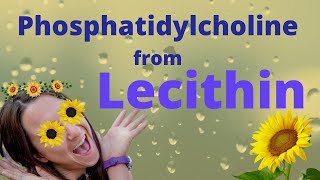 Phosphatidylcholine from Lecithin Brain SUPER Food [upl. by Afton]