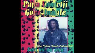 Papa Touwtjie  Gun History Jungle Instrumental [upl. by Plume]