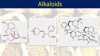 Part 1 Alkaloids intro and classification [upl. by Slaughter]