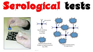 Serological tests [upl. by Irabaj]