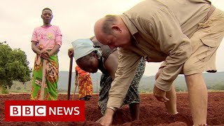 Zimbabwe to return land seized from foreign farmers  BBC News [upl. by Nylave]