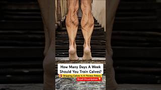 How Many Days A Week Should You Train Calves [upl. by Roswell490]