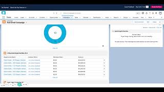 Salesforce Campaigns  Quick Introduction amp Overview [upl. by Menendez131]