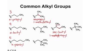 Common Alkyl Groups [upl. by Aicilaf106]