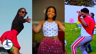 Top 10 African Dance Challenges That Went Viral in 2020 [upl. by Amero]