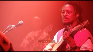 Habib Koité  quotYaffaquot live  Brussels [upl. by Nosyaj]