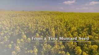 From a Tiny Mustard Seed [upl. by Henrietta]